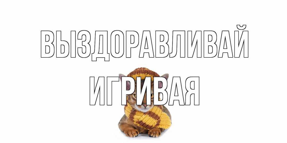 Открытка на каждый день с именем, игривая Выздоравливай родные не болейте Прикольная открытка с пожеланием онлайн скачать бесплатно 