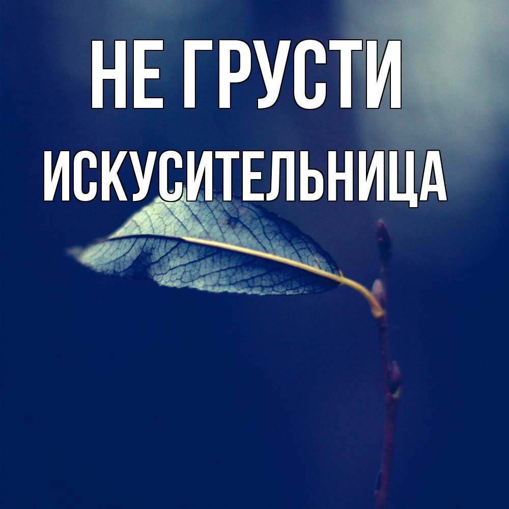Открытка на каждый день с именем, Искусительница Не грусти растение Прикольная открытка с пожеланием онлайн скачать бесплатно 