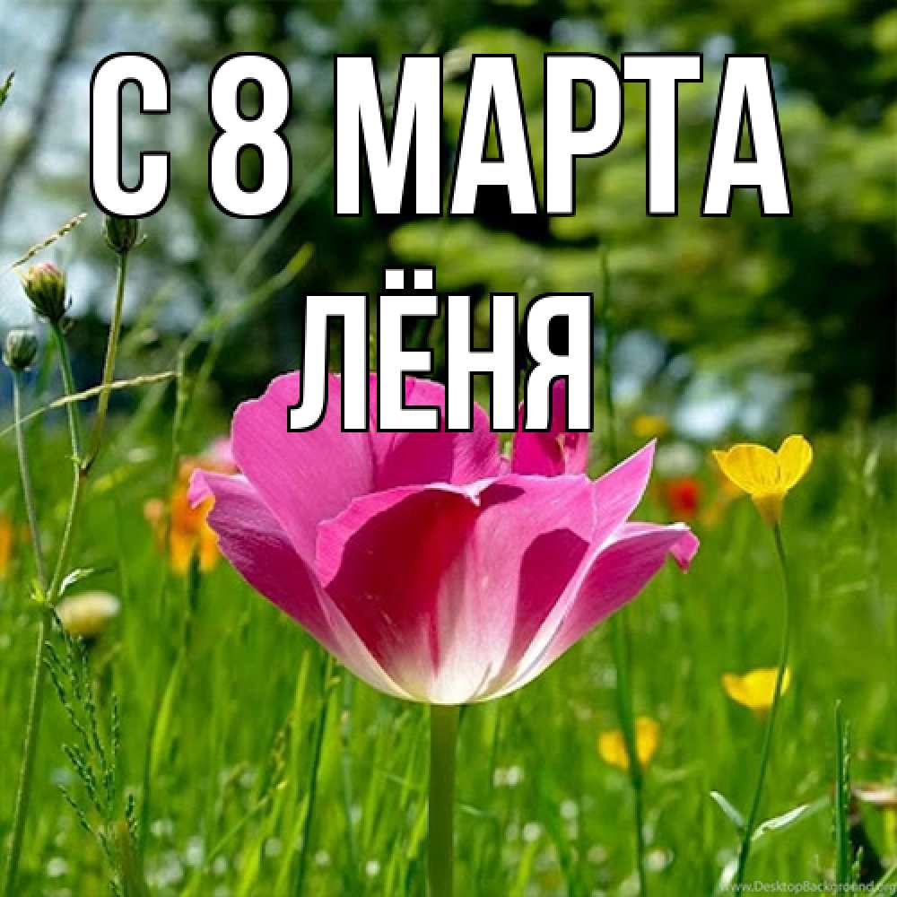 Открытка на каждый день с именем, Лёня C 8 МАРТА полевые цветы Прикольная открытка с пожеланием онлайн скачать бесплатно 