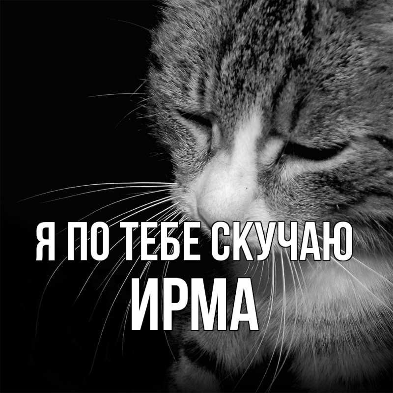 Картинка Я по тебе скучаю, Ирма