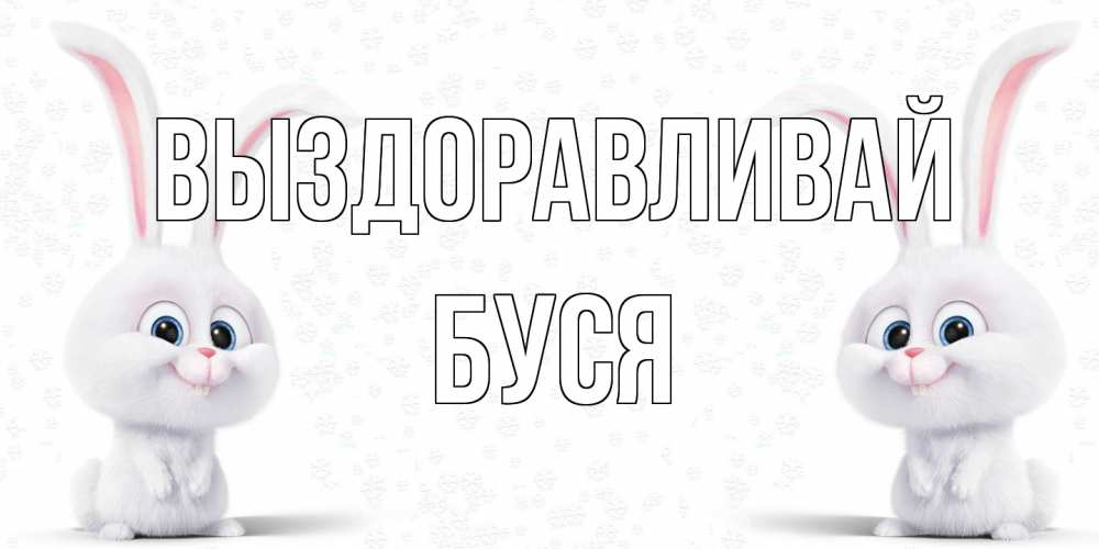 Открытка на каждый день с именем, Буся Выздоравливай не болей с зайцем Прикольная открытка с пожеланием онлайн скачать бесплатно 
