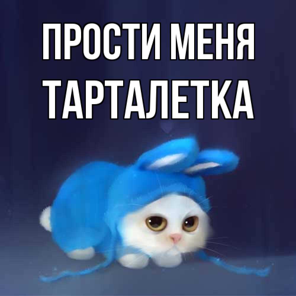Открытка на каждый день с именем, Тарталетка Прости меня невинный котозай просит прощения Прикольная открытка с пожеланием онлайн скачать бесплатно 