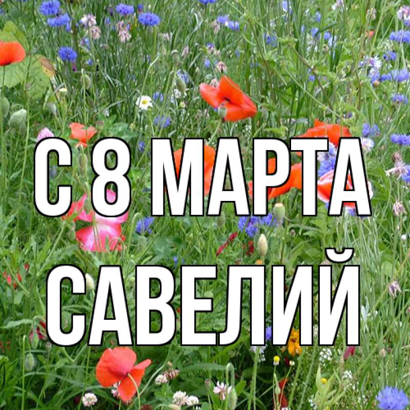 Картинка C 8 МАРТА, Савелий