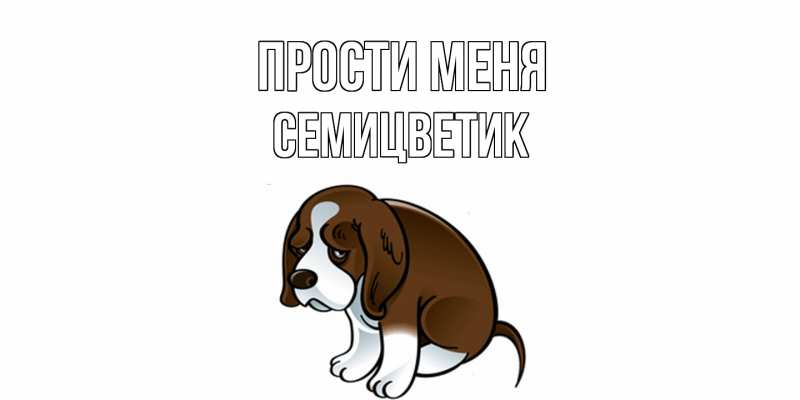 Картинка Прости меня, семицветик