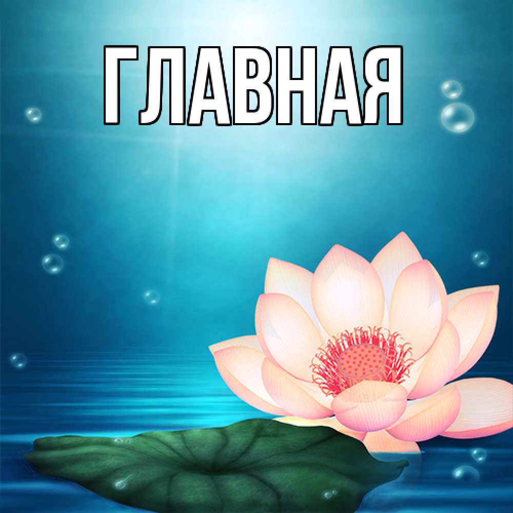 Открытка на каждый день с именем, настя Главная кувшинка Прикольная открытка с пожеланием онлайн скачать бесплатно 