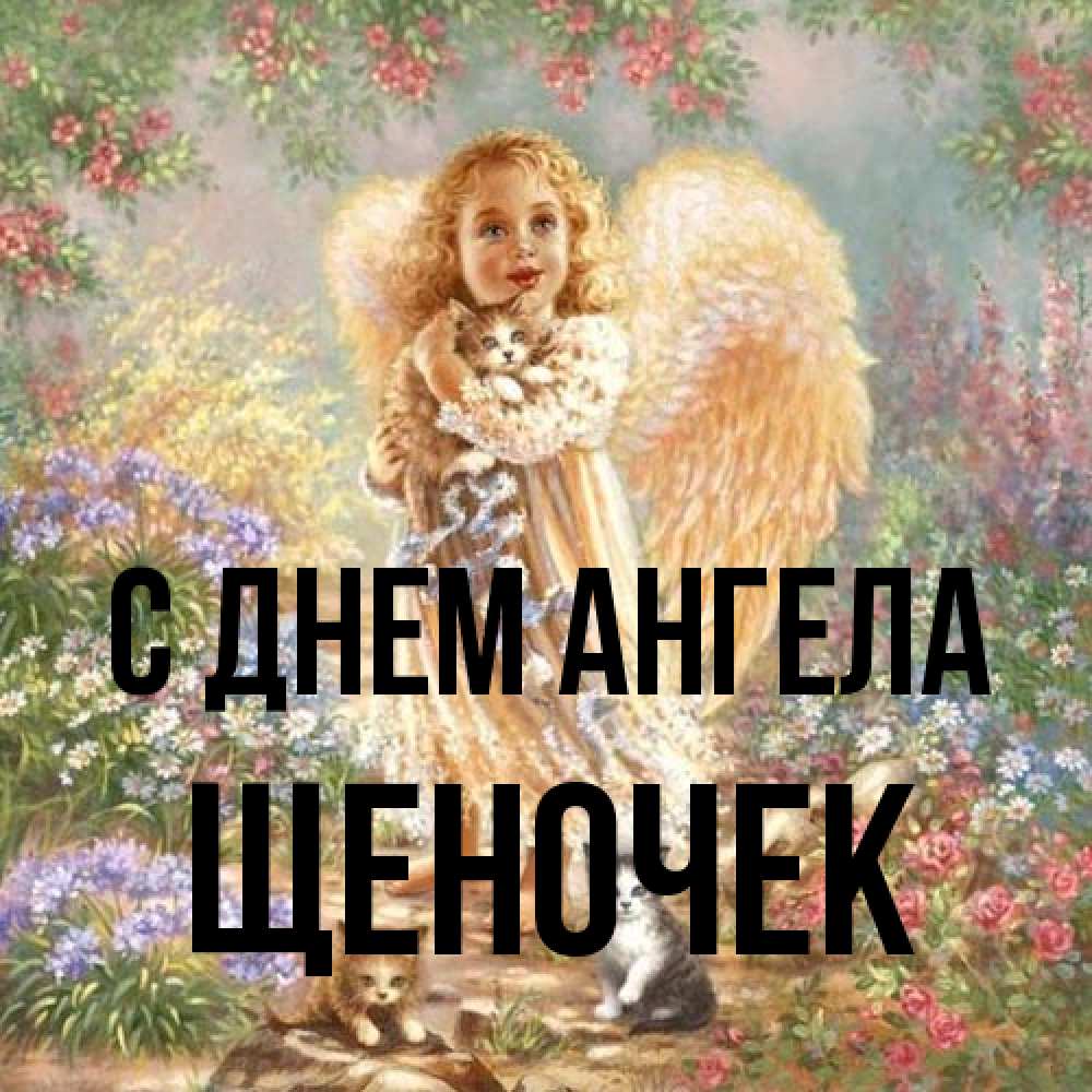 Открытка на каждый день с именем, Щеночек С днем ангела держит котенка Прикольная открытка с пожеланием онлайн скачать бесплатно 