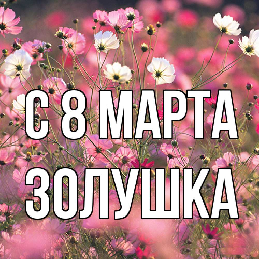 Открытка на каждый день с именем, Золушка C 8 МАРТА красиво 1 Прикольная открытка с пожеланием онлайн скачать бесплатно 