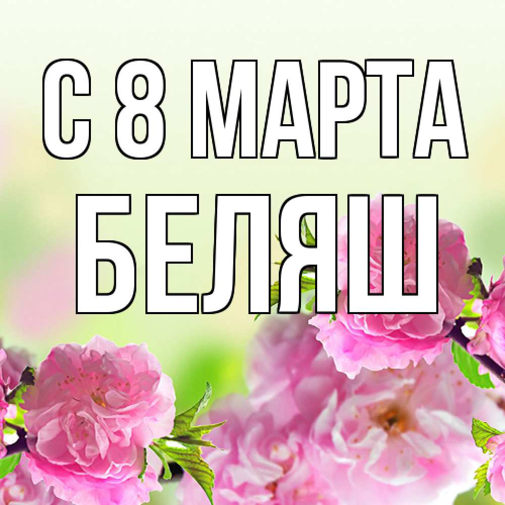 Открытка на каждый день с именем, Беляш C 8 МАРТА цветы Прикольная открытка с пожеланием онлайн скачать бесплатно 