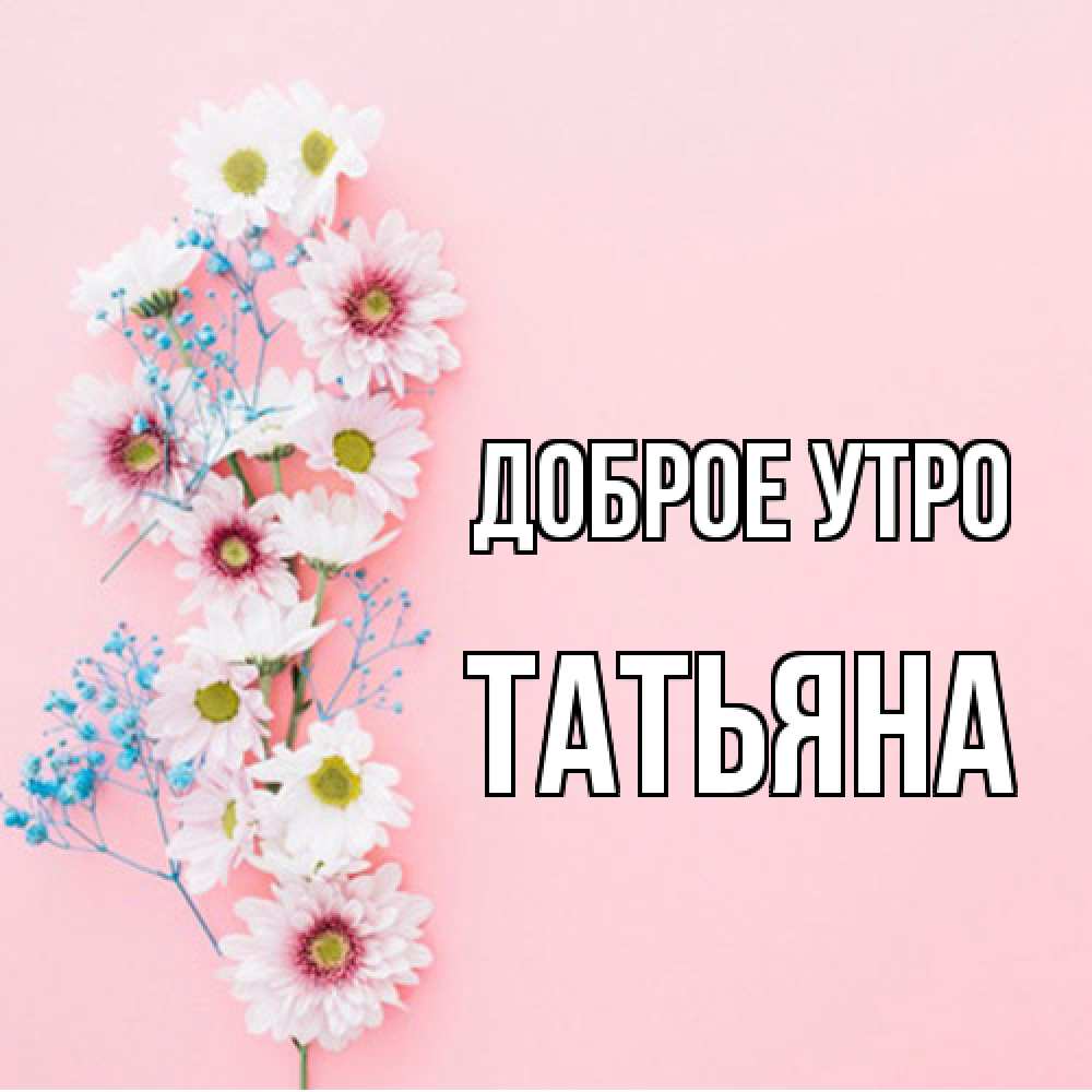 Открытка на каждый день с именем, Татьяна Доброе утро цветы с подписью Прикольная открытка с пожеланием онлайн скачать бесплатно 