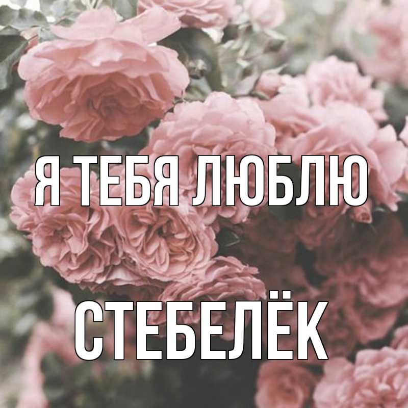 Картинка Я тебя люблю, Стебелёк