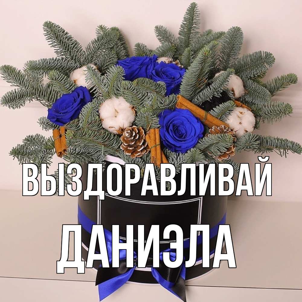Открытка на каждый день с именем, Даниэла Выздоравливай короче кто то загрузил эти шишки Прикольная открытка с пожеланием онлайн скачать бесплатно 