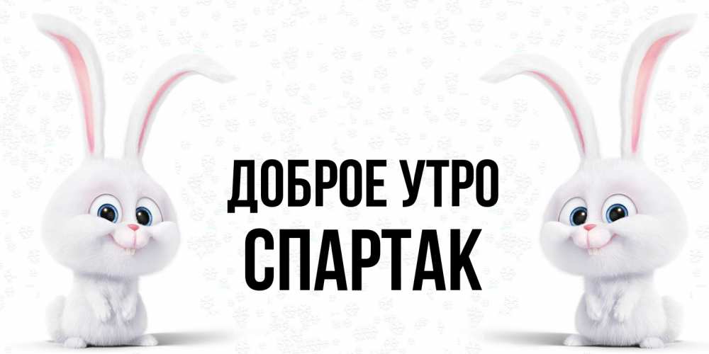 Открытка на каждый день с именем, Спартак Доброе утро кролики с длинными ушками Прикольная открытка с пожеланием онлайн скачать бесплатно 