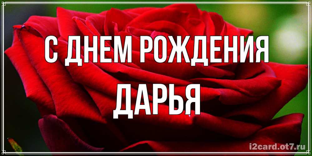 Открытка на каждый день с именем, Дарья С днем рождения розочка очень красивая Прикольная открытка с пожеланием онлайн скачать бесплатно 