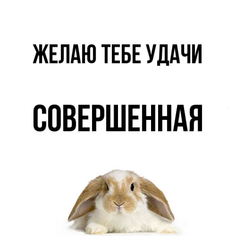 Картинка Желаю тебе удачи, Совершенная