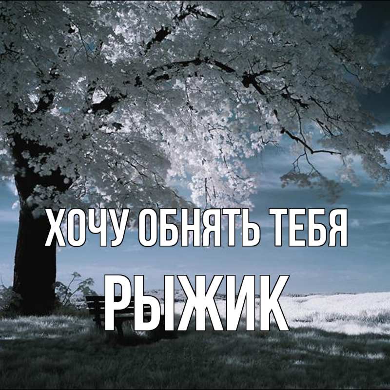 Картинка Хочу обнять тебя, рыжик