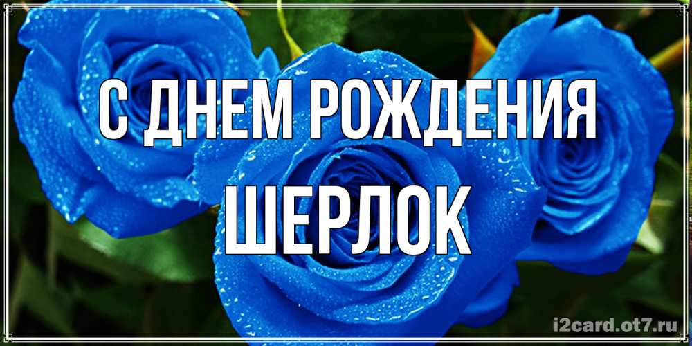 Открытка на каждый день с именем, Шерлок С днем рождения розы с синим цветом Прикольная открытка с пожеланием онлайн скачать бесплатно 