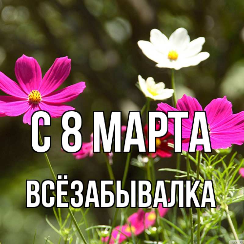 Картинка C 8 МАРТА, Всёзабывалка