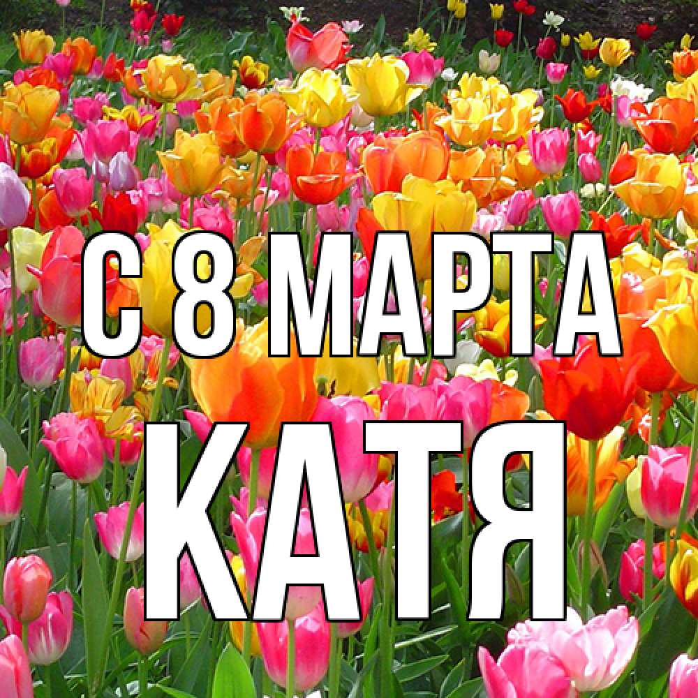 Открытка на каждый день с именем, Катя C 8 МАРТА на международный женский день Прикольная открытка с пожеланием онлайн скачать бесплатно 