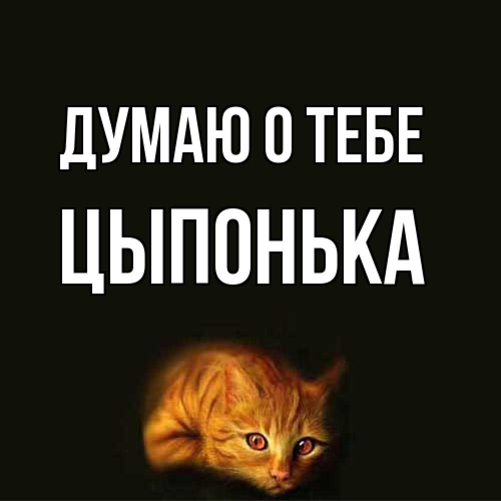 Открытка на каждый день с именем, Цыпонька Думаю о тебе рыжий Прикольная открытка с пожеланием онлайн скачать бесплатно 
