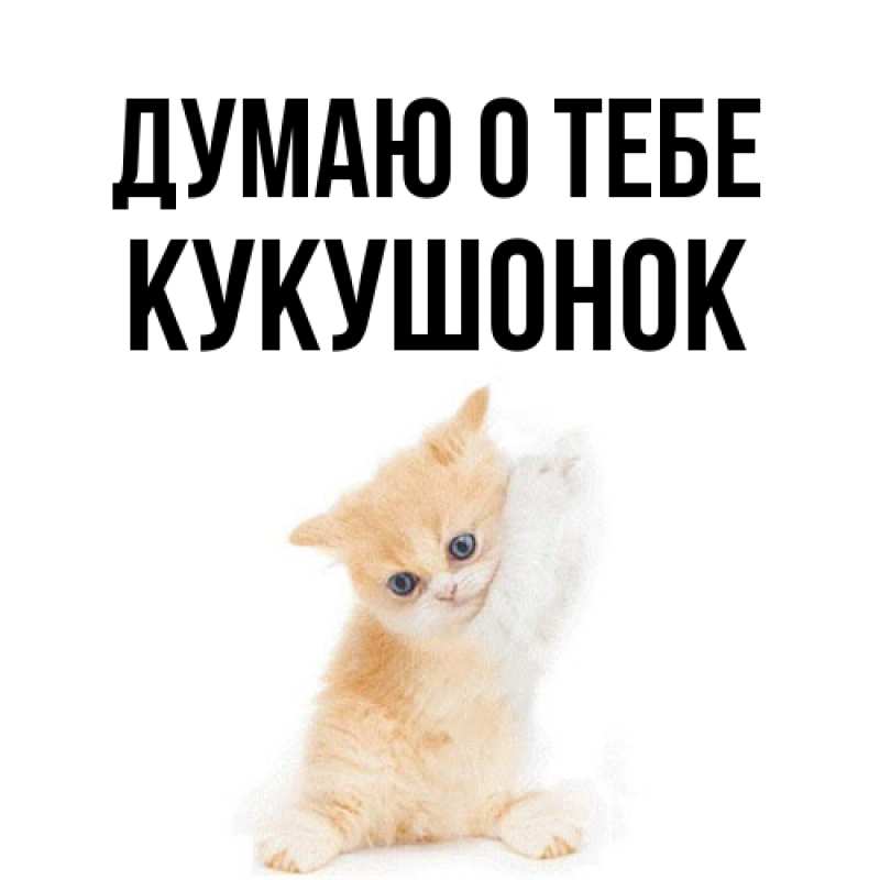 Картинка Думаю о тебе, кукушонок