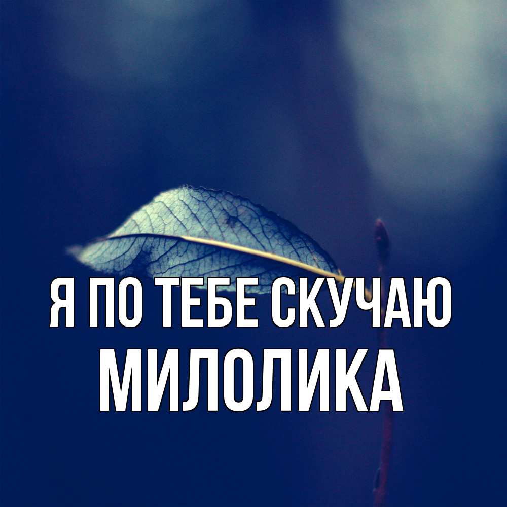 Открытка на каждый день с именем, Милолика Я по тебе скучаю одна ветка 1 Прикольная открытка с пожеланием онлайн скачать бесплатно 