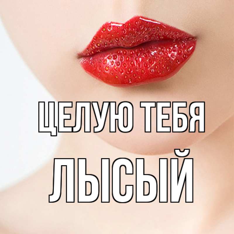 Картинка Целую тебя, Лысый