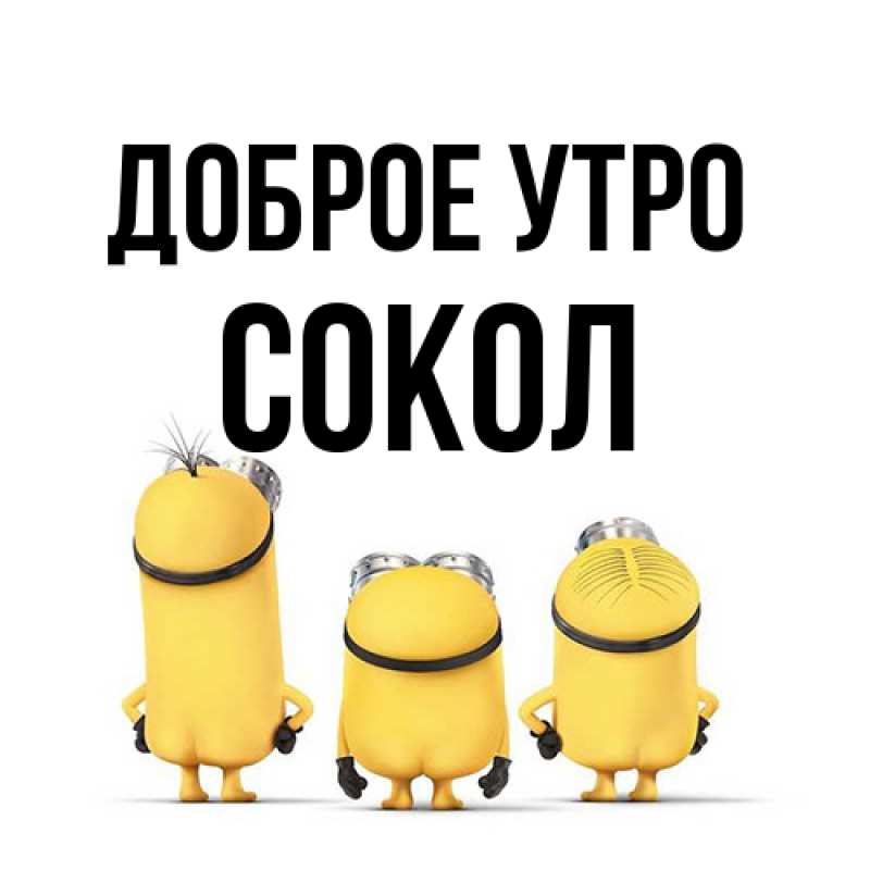Картинка Доброе утро, Сокол