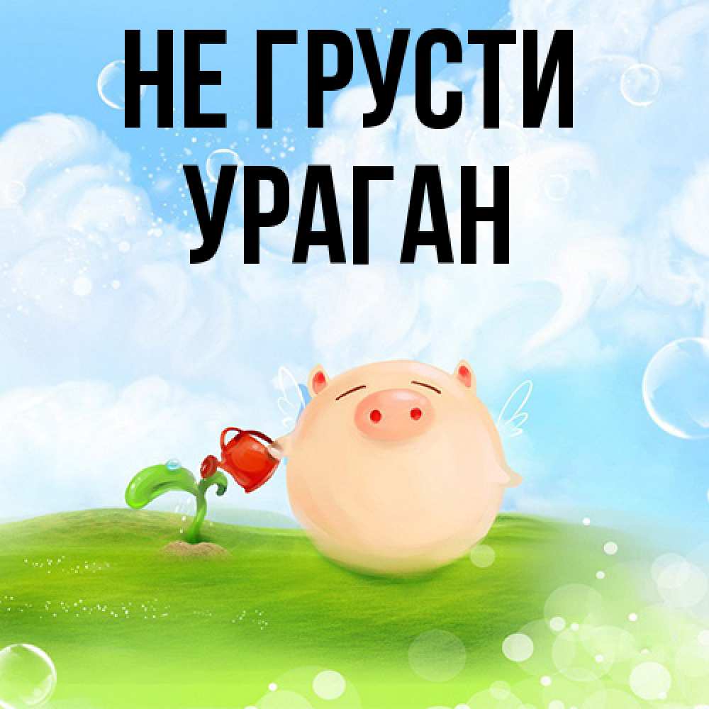 Открытка на каждый день с именем, Ураган Не грусти поливает цветок порося Прикольная открытка с пожеланием онлайн скачать бесплатно 