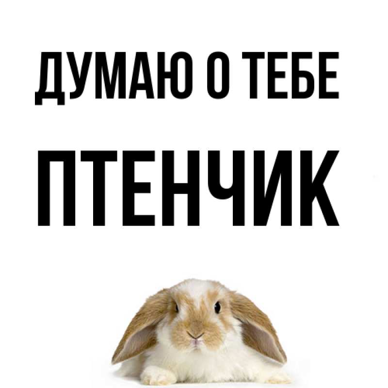 Картинка Думаю о тебе, Птенчик