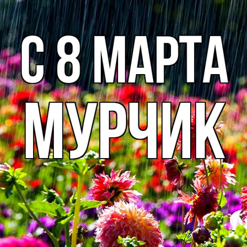 Картинка C 8 МАРТА, Мурчик