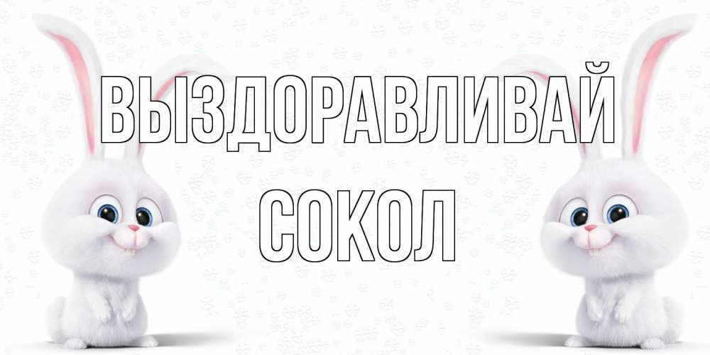 Открытка на каждый день с именем, Сокол Выздоравливай не болей с зайцем Прикольная открытка с пожеланием онлайн скачать бесплатно 