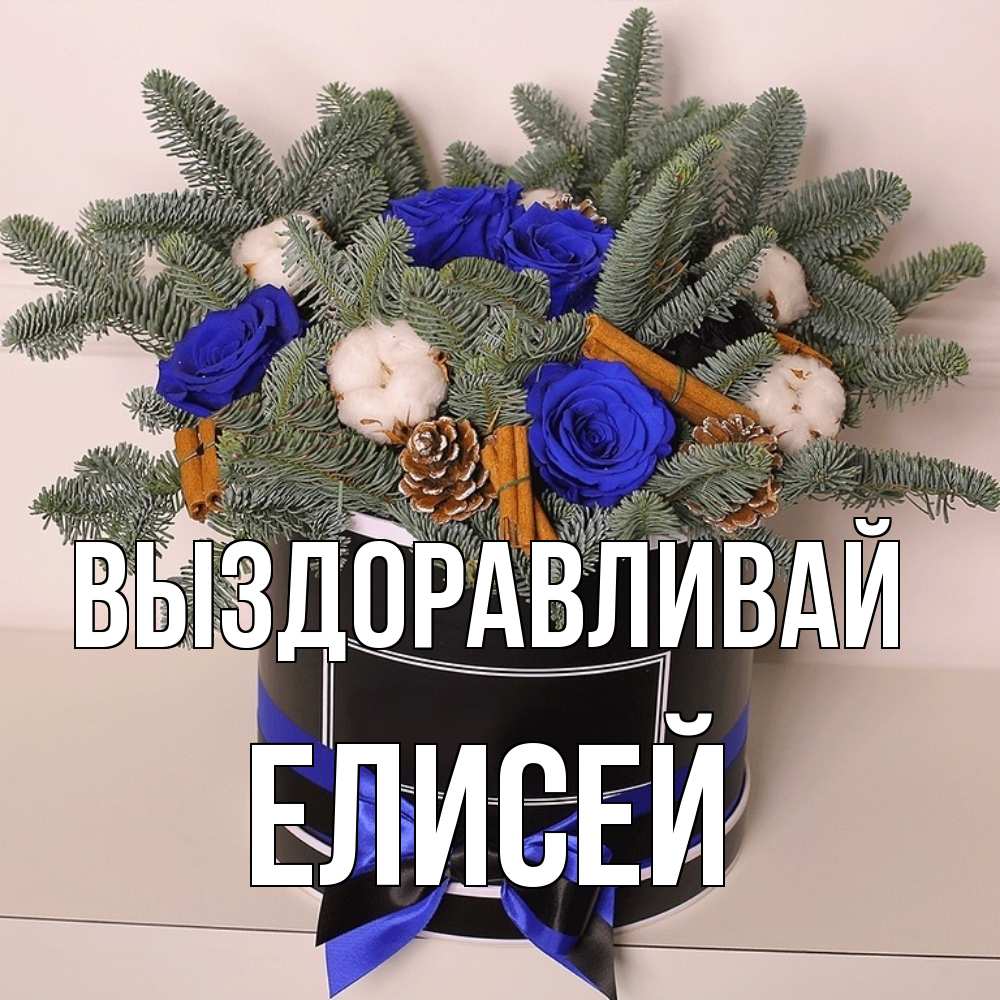 Открытка на каждый день с именем, Елисей Выздоравливай короче кто то загрузил эти шишки Прикольная открытка с пожеланием онлайн скачать бесплатно 