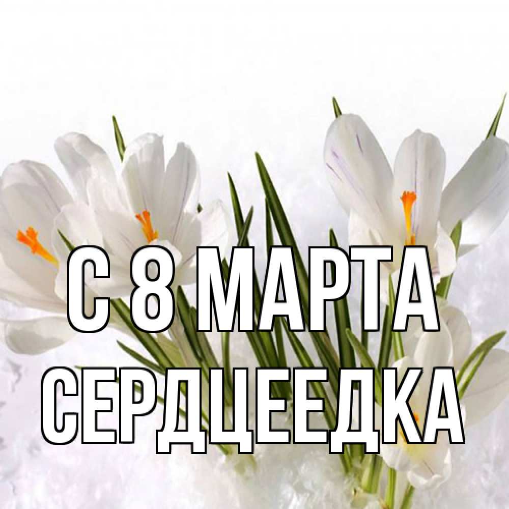 Открытка на каждый день с именем, сердцеедка C 8 МАРТА под снегом Прикольная открытка с пожеланием онлайн скачать бесплатно 