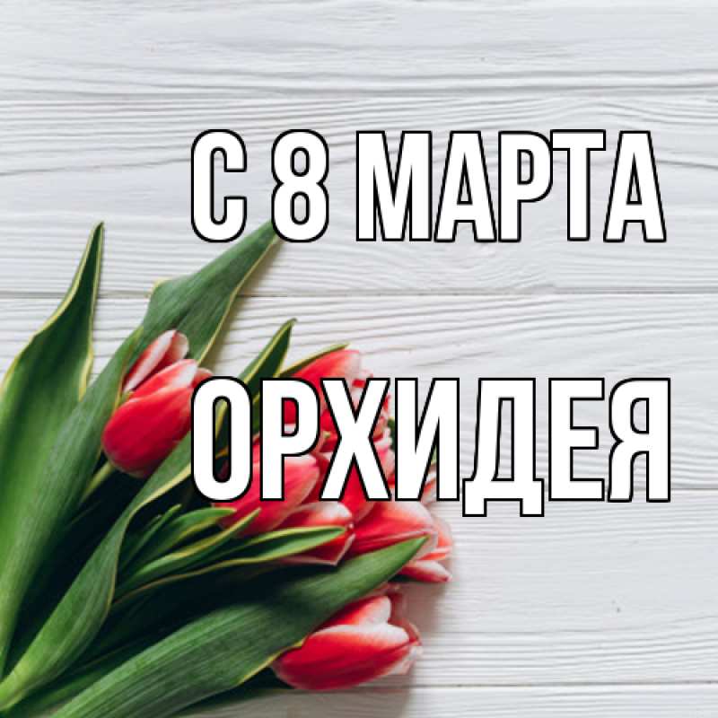Картинка C 8 МАРТА, Орхидея