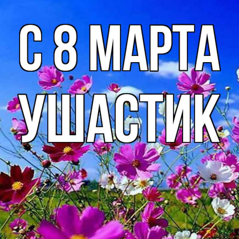 Картинка C 8 МАРТА, Ушастик