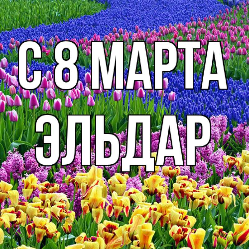 Картинка C 8 МАРТА, Эльдар