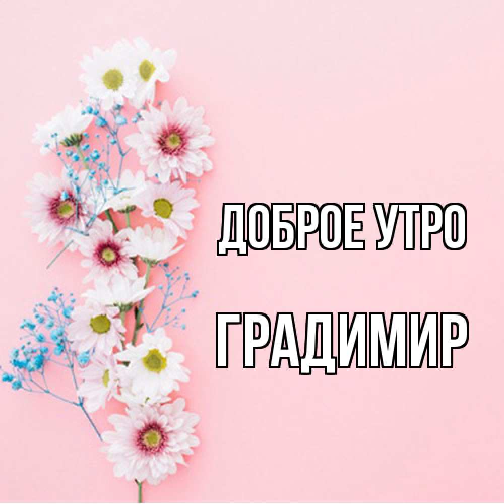 Открытка на каждый день с именем, Градимир Доброе утро цветы с подписью Прикольная открытка с пожеланием онлайн скачать бесплатно 