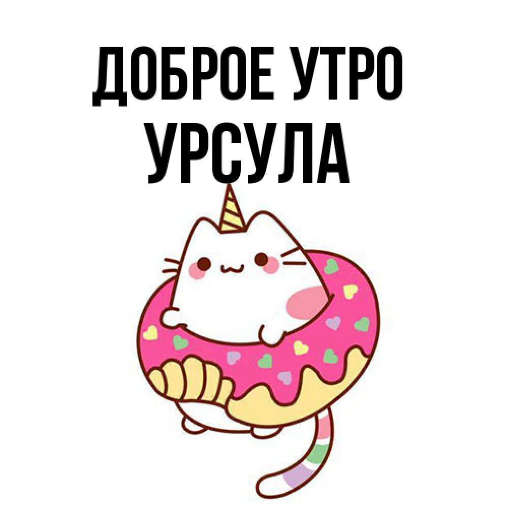 Открытка на каждый день с именем, Урсула Доброе утро кот в бублике Прикольная открытка с пожеланием онлайн скачать бесплатно 