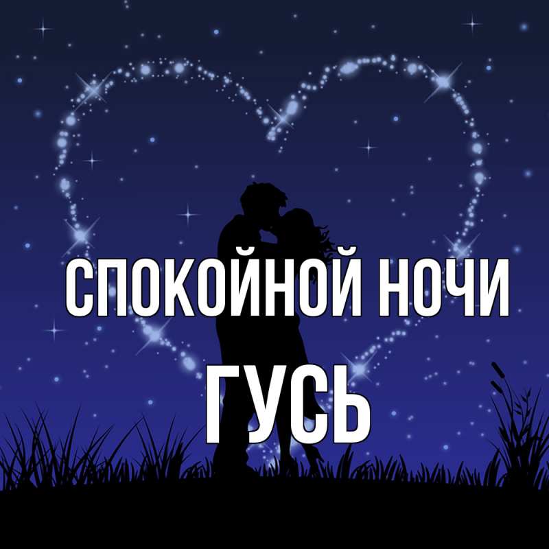 Картинка Спокойной ночи, Гусь