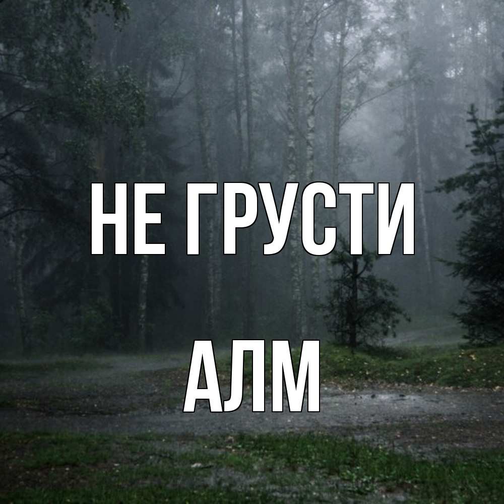 Открытка на каждый день с именем, Алм Не грусти осень Прикольная открытка с пожеланием онлайн скачать бесплатно 