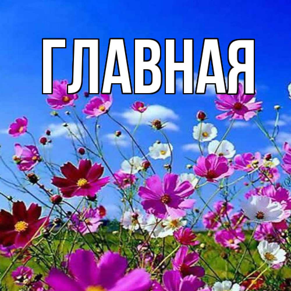 Открытка на каждый день с именем, Анна Главная сиреневые цветы Прикольная открытка с пожеланием онлайн скачать бесплатно 