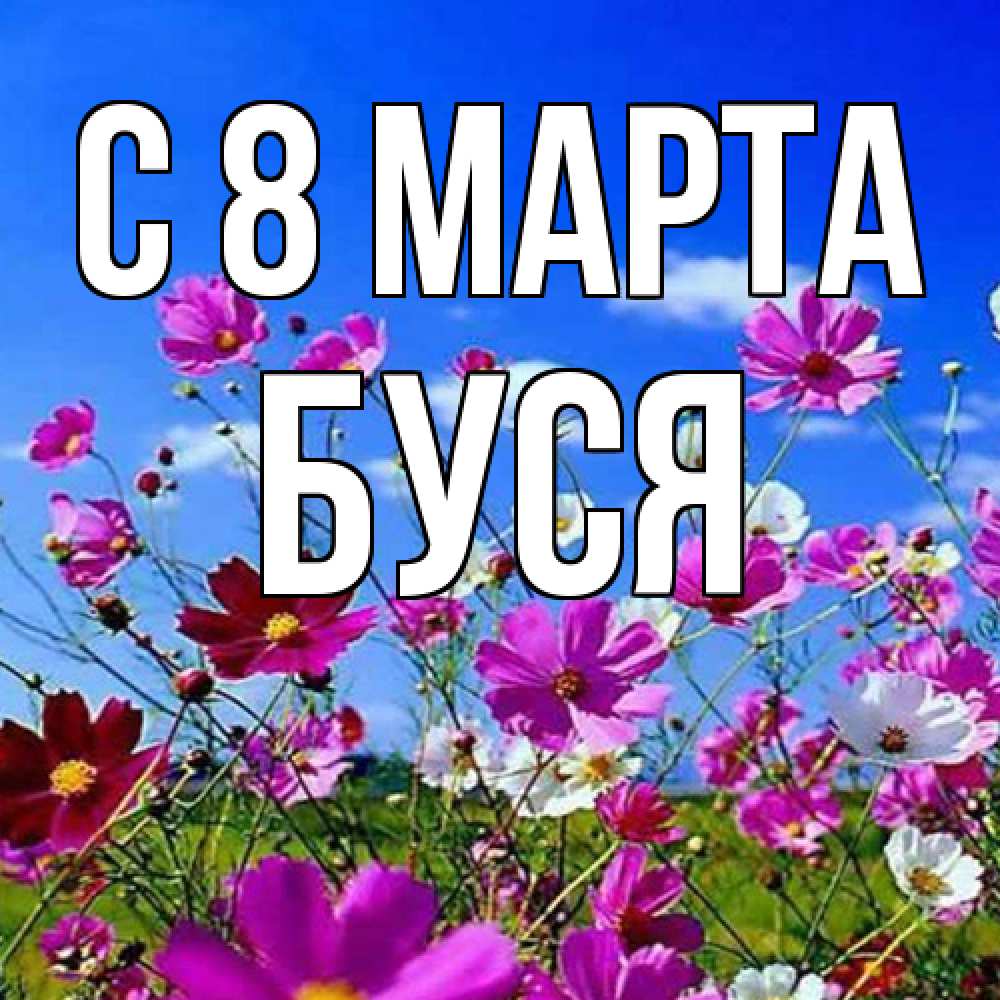 Открытка на каждый день с именем, Буся C 8 МАРТА цветы Прикольная открытка с пожеланием онлайн скачать бесплатно 