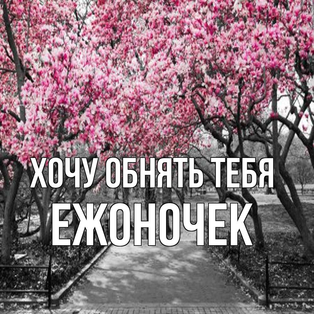 Открытка на каждый день с именем, Ежоночек Хочу обнять тебя обработанное фото Прикольная открытка с пожеланием онлайн скачать бесплатно 