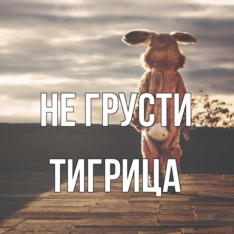 Картинка Не грусти, Тигрица