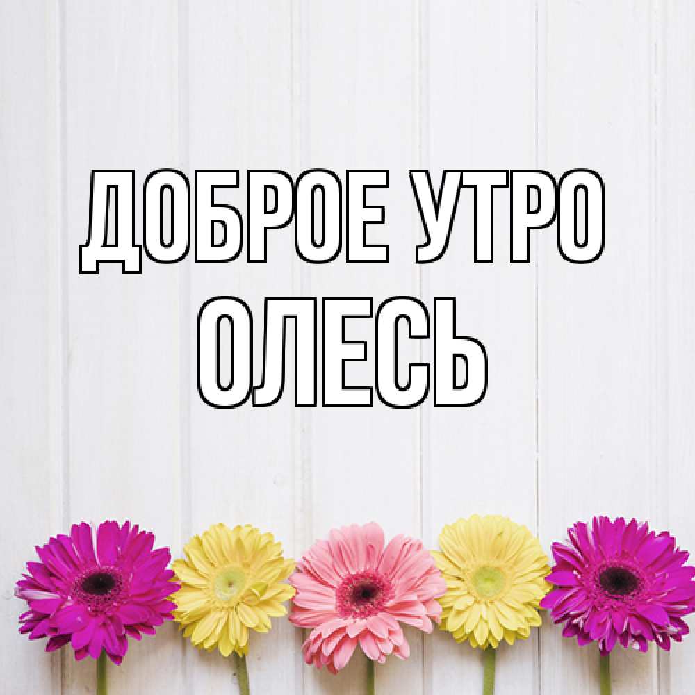 Открытка на каждый день с именем, Олесь Доброе утро красный желтый и розовый цветок Прикольная открытка с пожеланием онлайн скачать бесплатно 