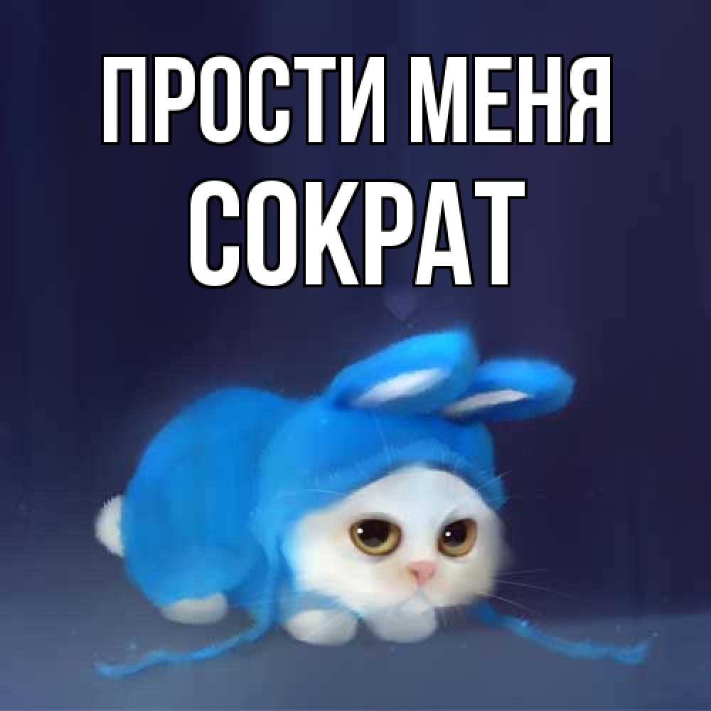 Открытка на каждый день с именем, Сократ Прости меня невинный котозай просит прощения Прикольная открытка с пожеланием онлайн скачать бесплатно 