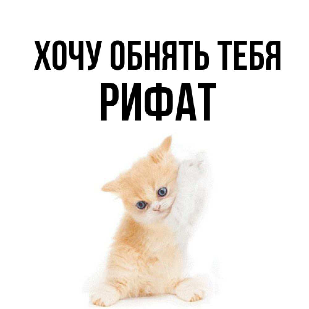 Открытка на каждый день с именем, Рифат Хочу обнять тебя я хочу очень скорее обнимаешек Прикольная открытка с пожеланием онлайн скачать бесплатно 