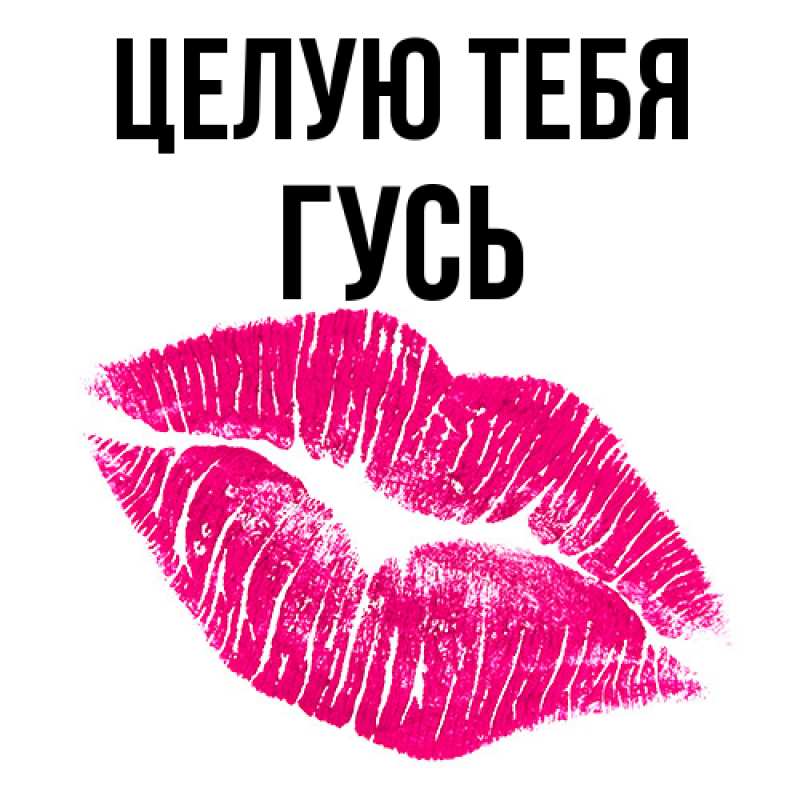 Картинка Целую тебя, Гусь