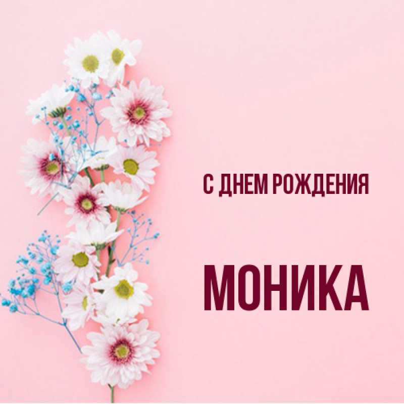 Картинка С днем рождения, Моника