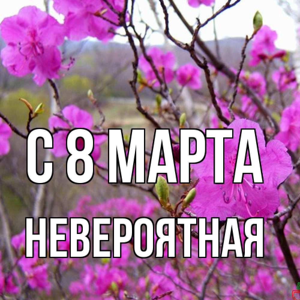 Открытка на каждый день с именем, невероятная C 8 МАРТА международный женский день Прикольная открытка с пожеланием онлайн скачать бесплатно 